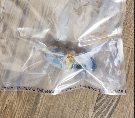 Selkirk Drug seized2835