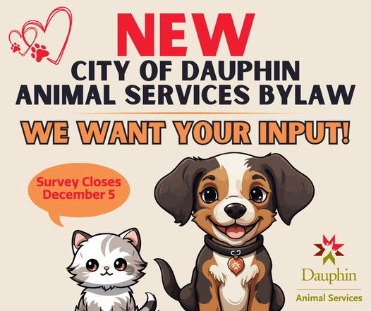 Input sought on new animal by-law