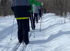 Cross Country Skiing.jpg