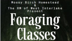 Foraging Classes.jpg