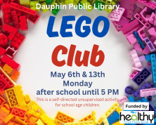 Lego Club Library.jpg