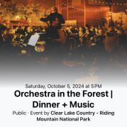 Orchestra in the Park.jpg