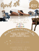 Puppy Yoga Stray Cats Erickson.jpg