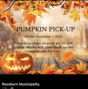 Rossburn Pumkins.jpg