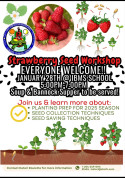 Sandy Bay Strawberry Seed Workshop.jpg