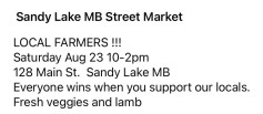 Saturday Sandy Lake Main Street Market.jpg