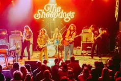 Sheepdogs Photo.jpg