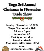 Togo Craft Show.jpg