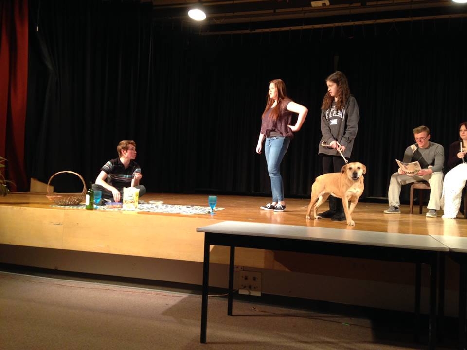 Chevy at reherseals for DRCSS's "Imperfect Proposal". Photo credit: Parkland Humane Society