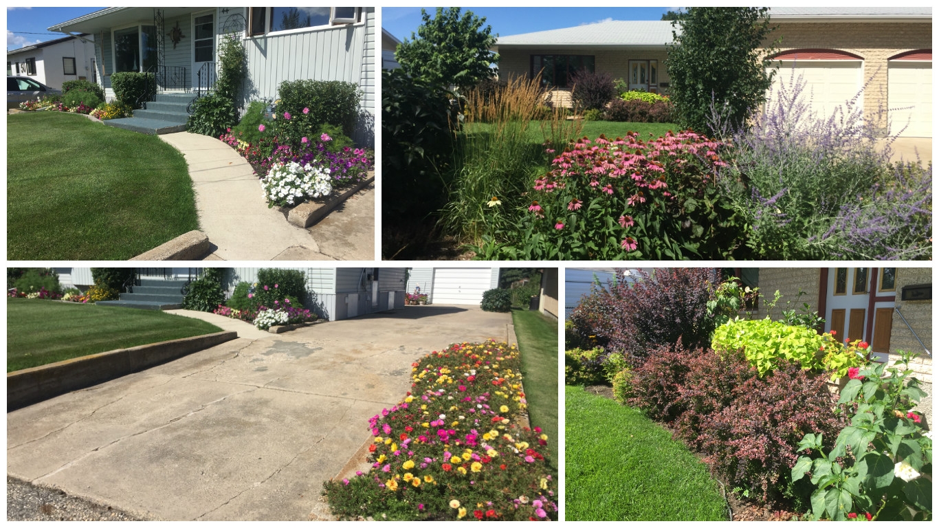 Look out for these front yards as they are recipients of "Best Curb Appeal."