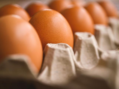 More eggs for Manitoba Food Banks