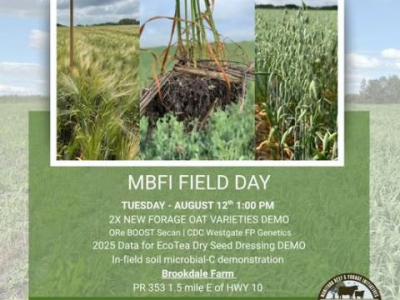 Forage oat field tour on Tuesday