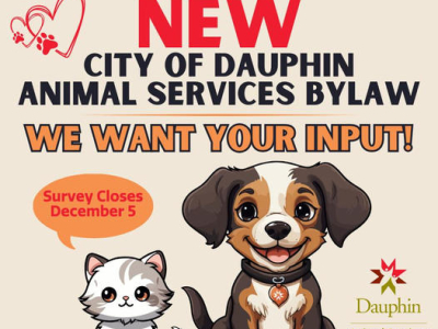 Input sought on new animal by-law