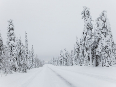 Recaping winter in Dauphin